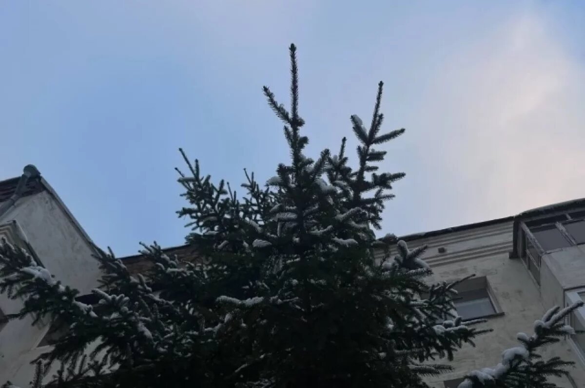    В Краснодарском крае 11 февраля днем прогнозируют до +8 градусов