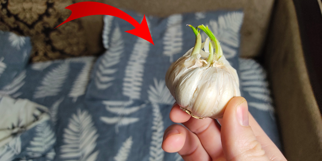 Делаю это перед сном, чтобы кровь не сгущалась ночью. 50 лет жил, и не знал о таком.