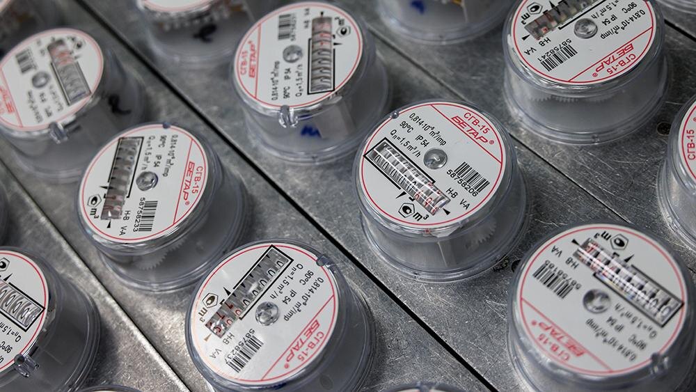    Фото: Sergey Elagin/globallookpress.com