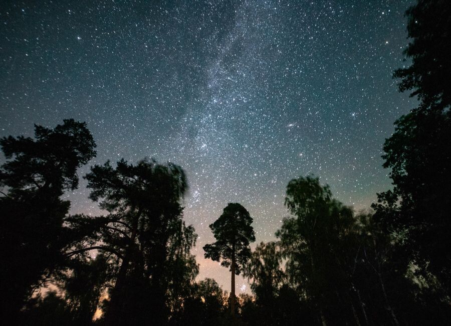     / Источник: © Альберт Гарнелис/ТАСС