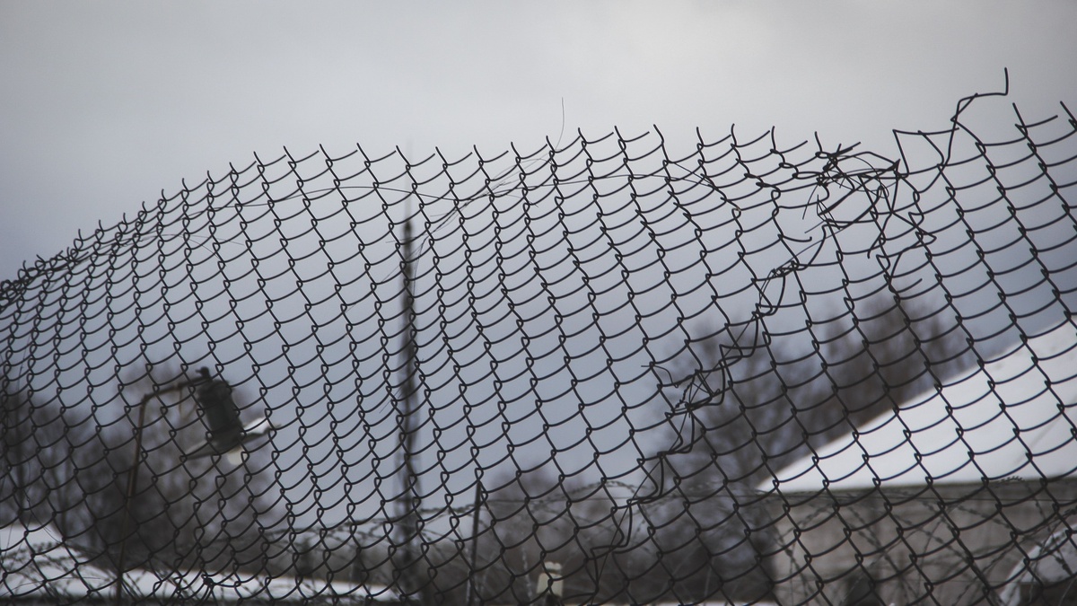     Источник: 1MI