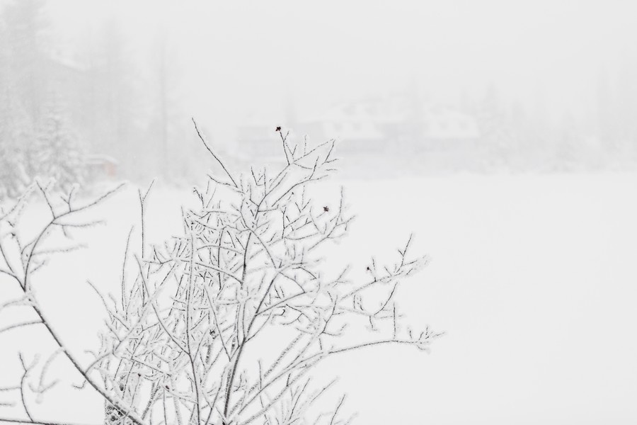   Изображение от freepik