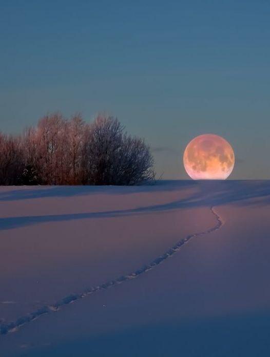 Источник: Pinterest, пользователь Rita B