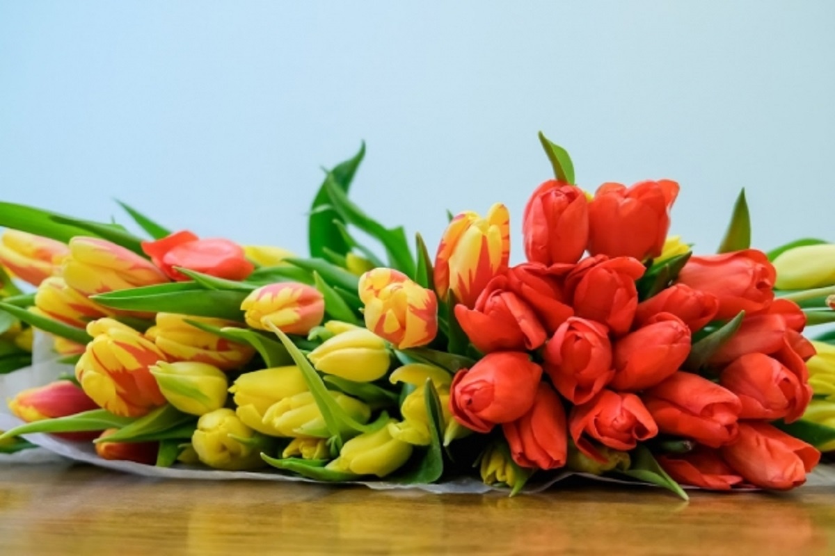 © Фото: ИД «Волгоградская правда» / Сергей Каширский