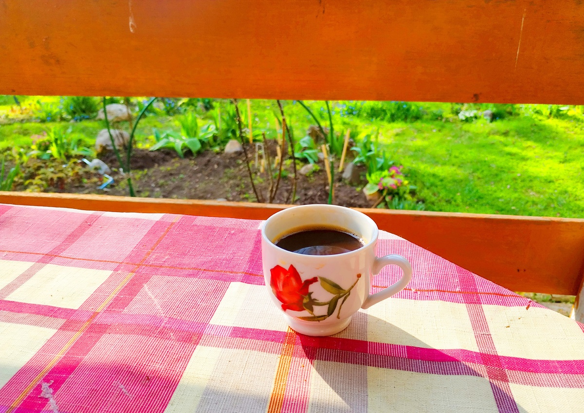 Просто кофе. Просто дача