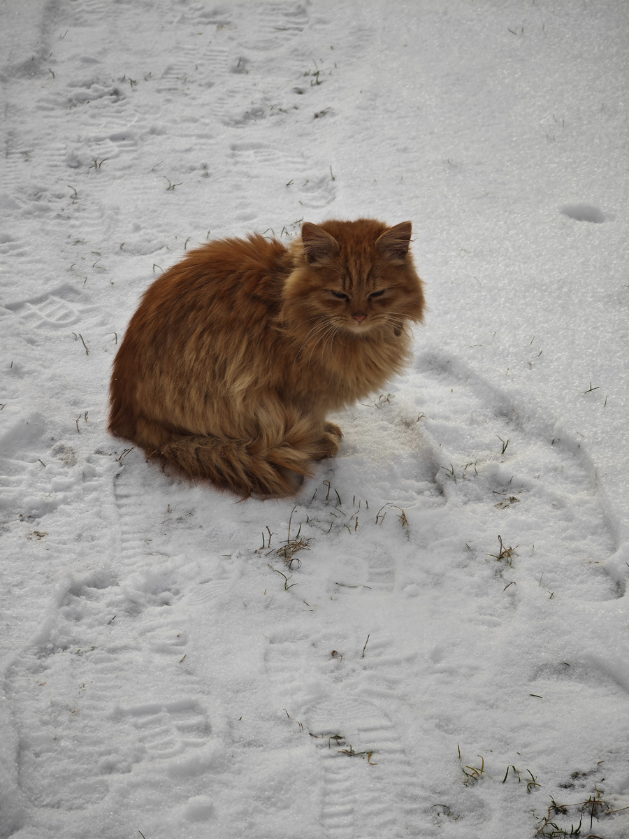 Фото автора канала 