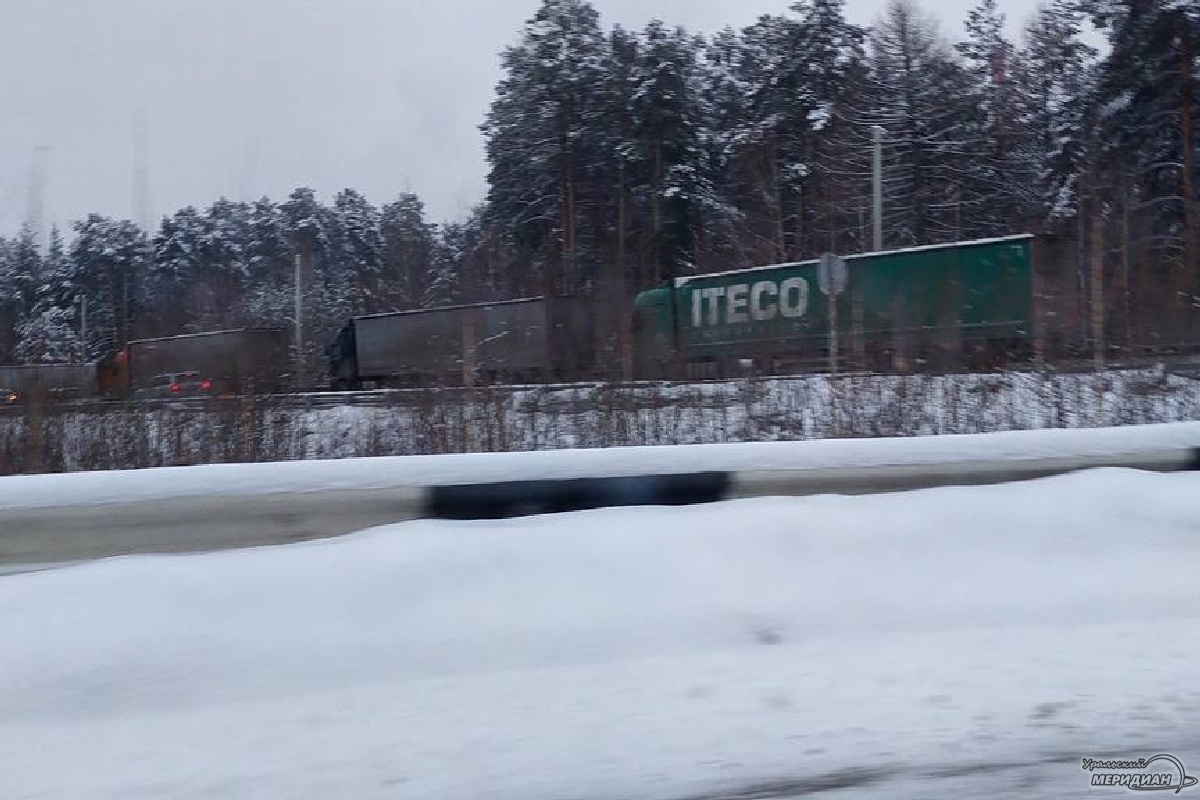    Фото: читатель © ИА «Уральский меридиан»