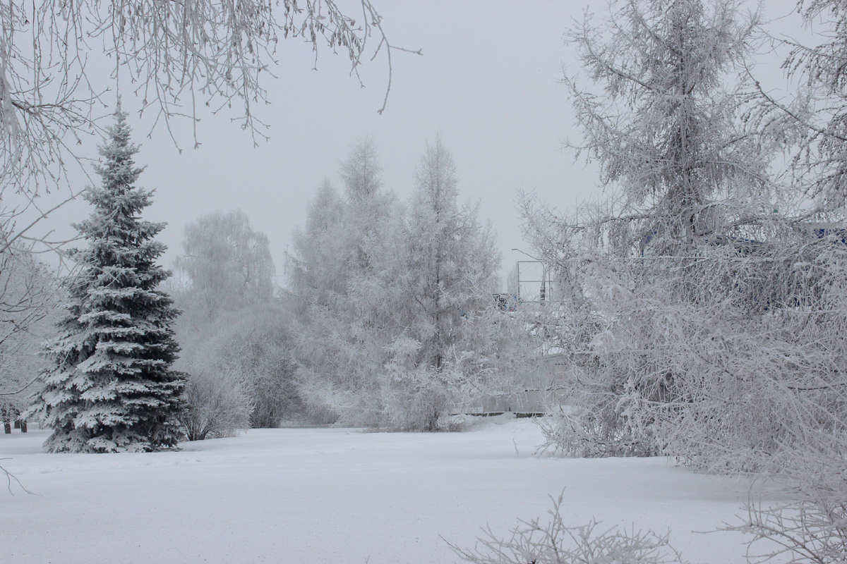 Парк укрыт снегом. Красота! 