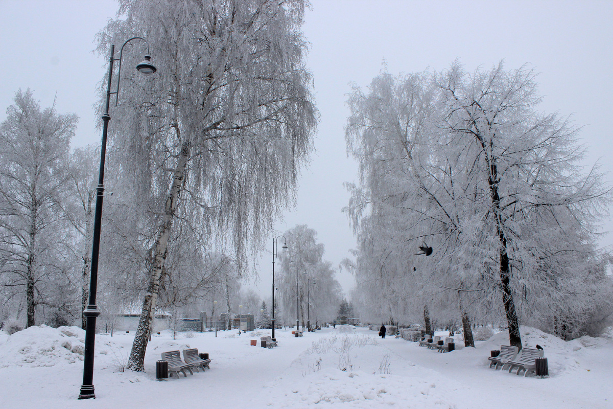 Как там писал С.А. Есенин... Белая берёза под моим окном принакрылась снегом точно серебром...
