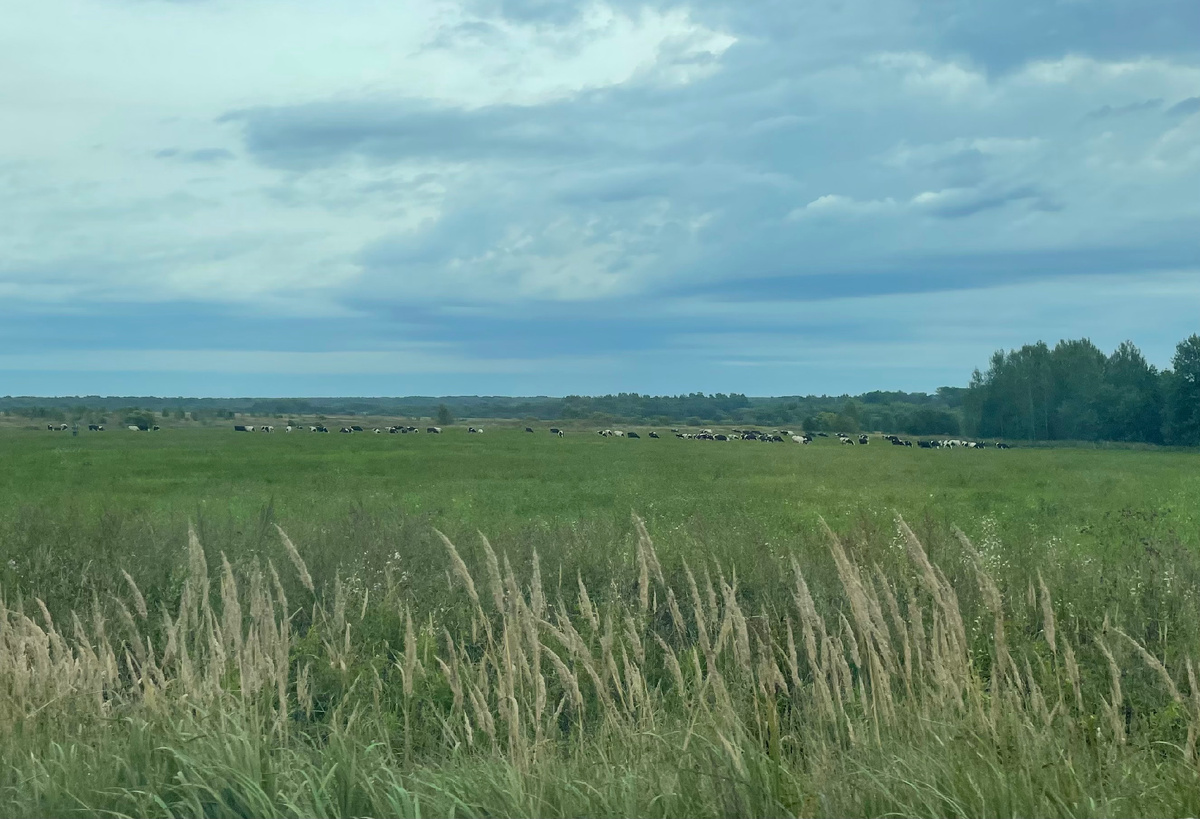 Пейзажи из окна автомобиля