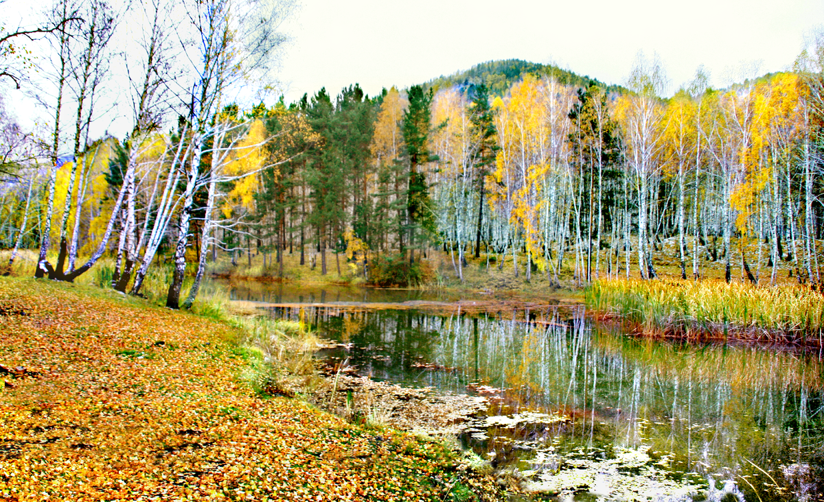 Фотография, стихотворение Василия Глуцкого