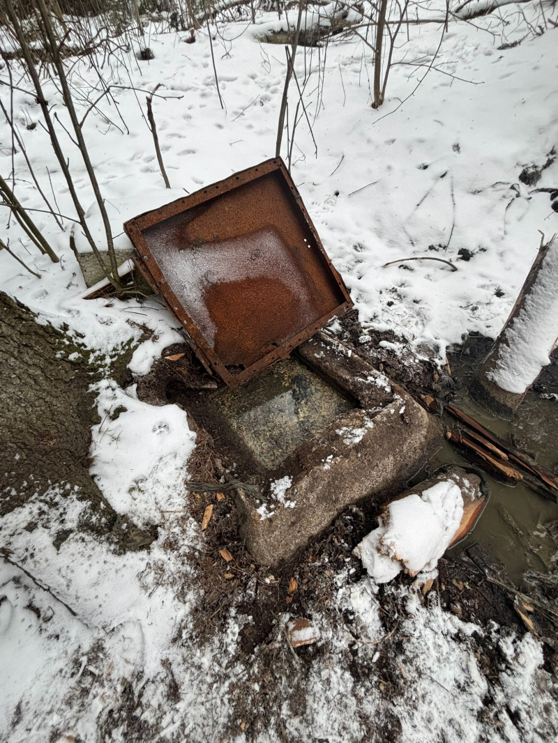    Власти Лахденпохьи приехали посмотреть на исток реки нечистот