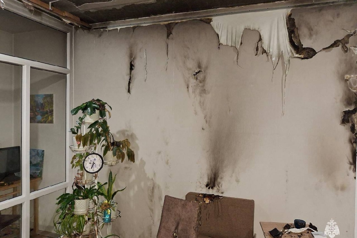    Фото: МЧС России