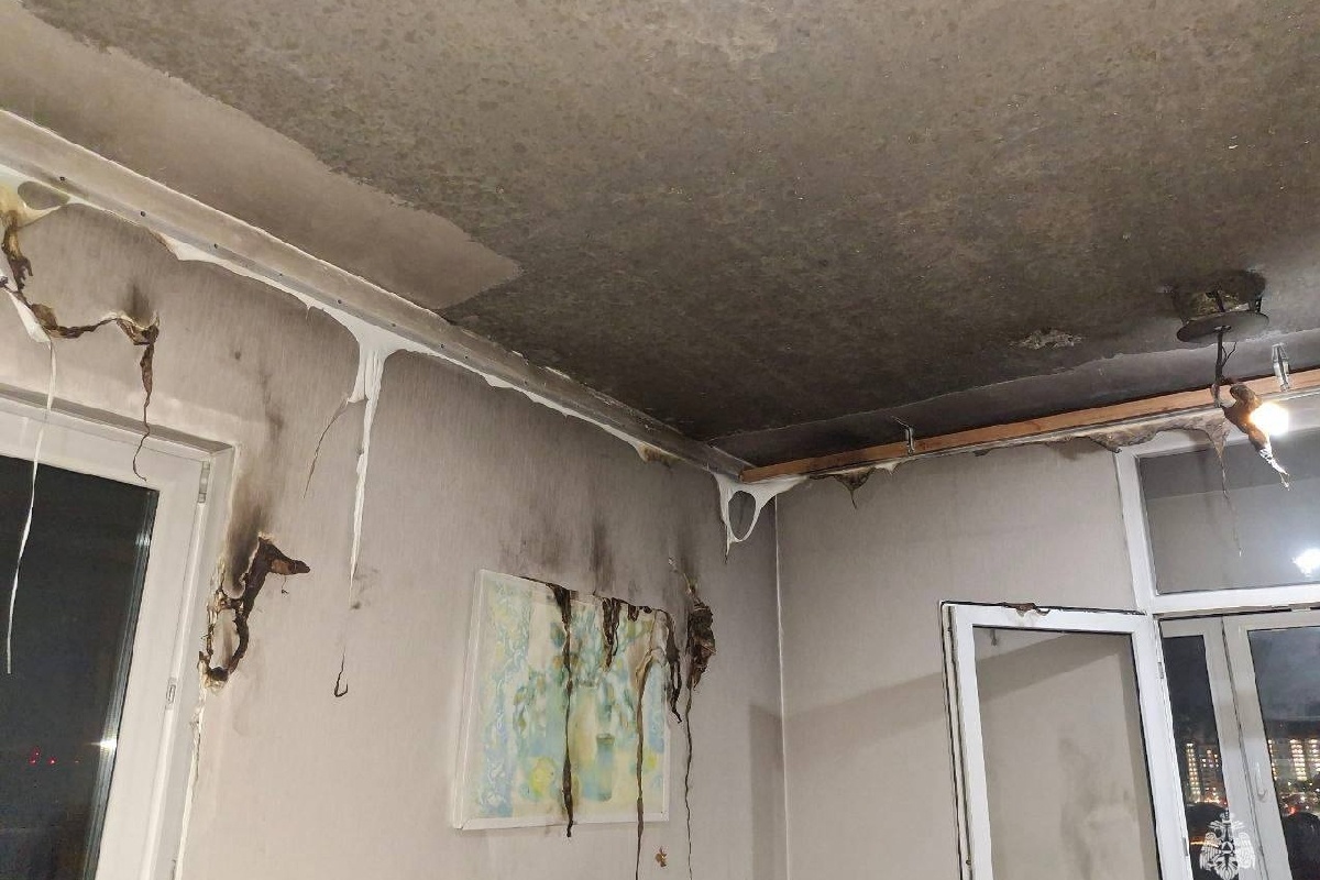    Фото: МЧС России