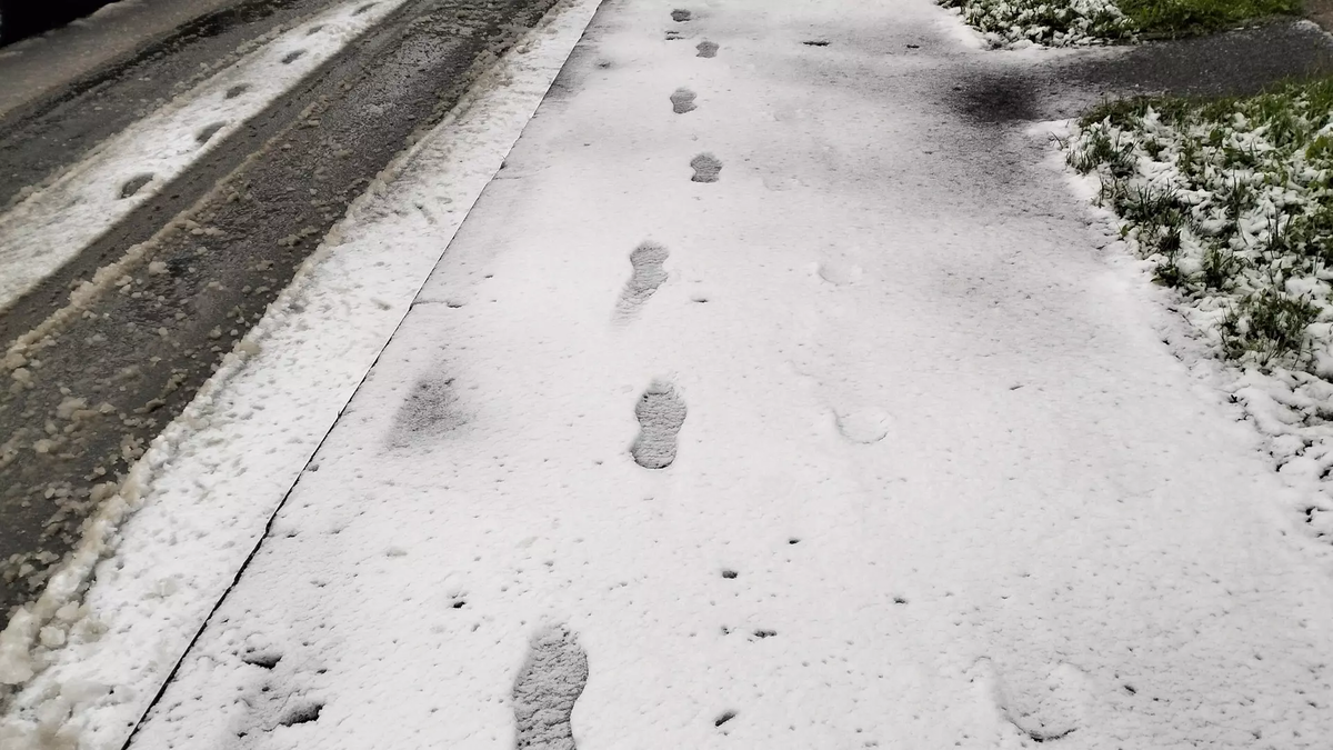 Фото: 1MI. В Белгородской области вновь выпадет снег
