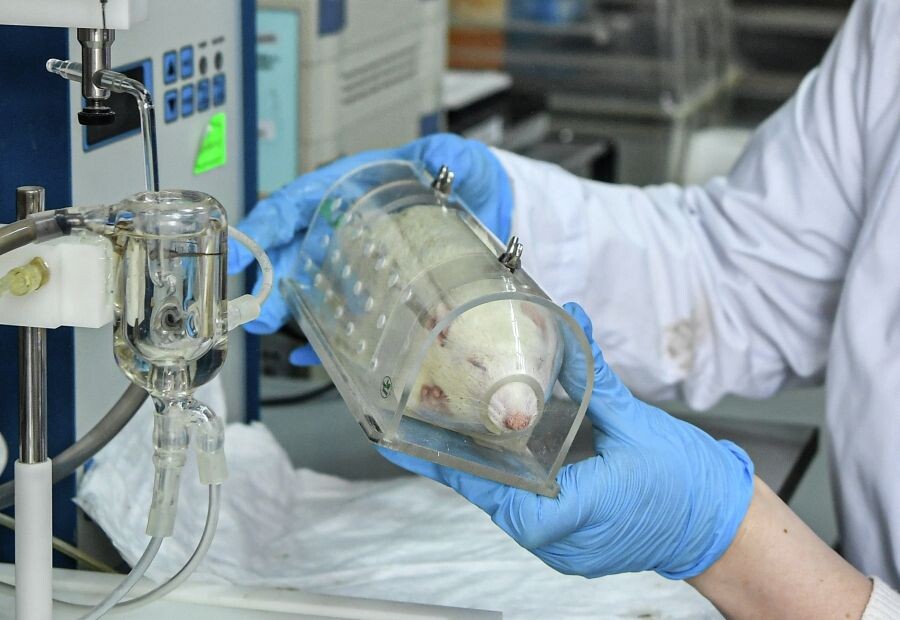     / Источник: ©РИА Новости/Константин Михальчевский