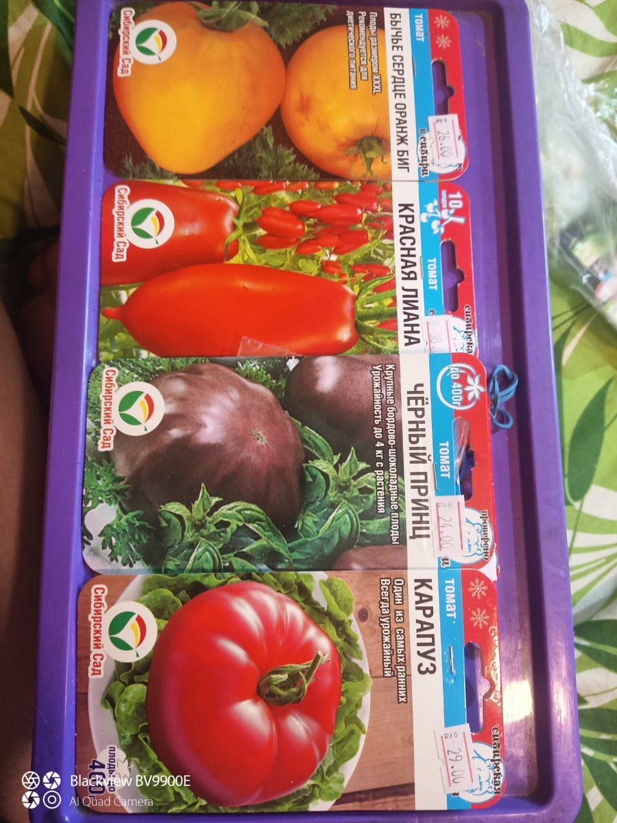 Прошлый год