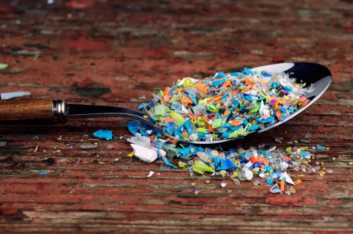    Пластмассовая голова.