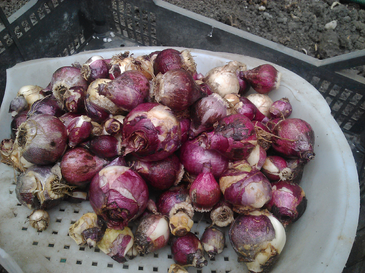 перебираю перед посадкой