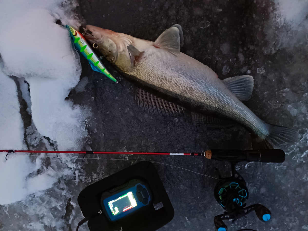 закилошник прилип на Куду 140 099-Neon Shad