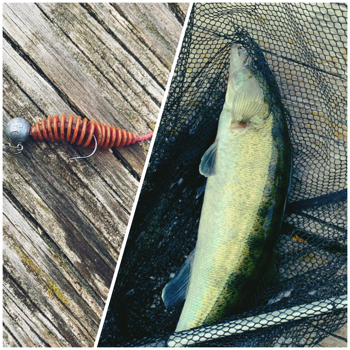 Отличный судак на микроджиг