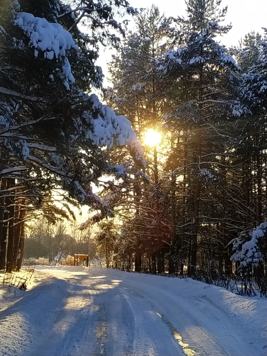 Зима в Подмосковье... Старое, очень старое фото...