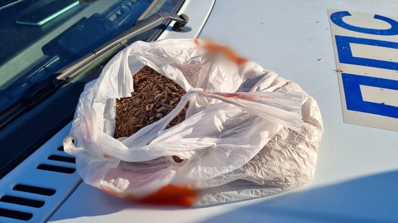 Фото: пресс-служба ГУ МВД России по Челябинской области