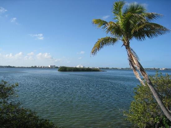 Мексиканский залив