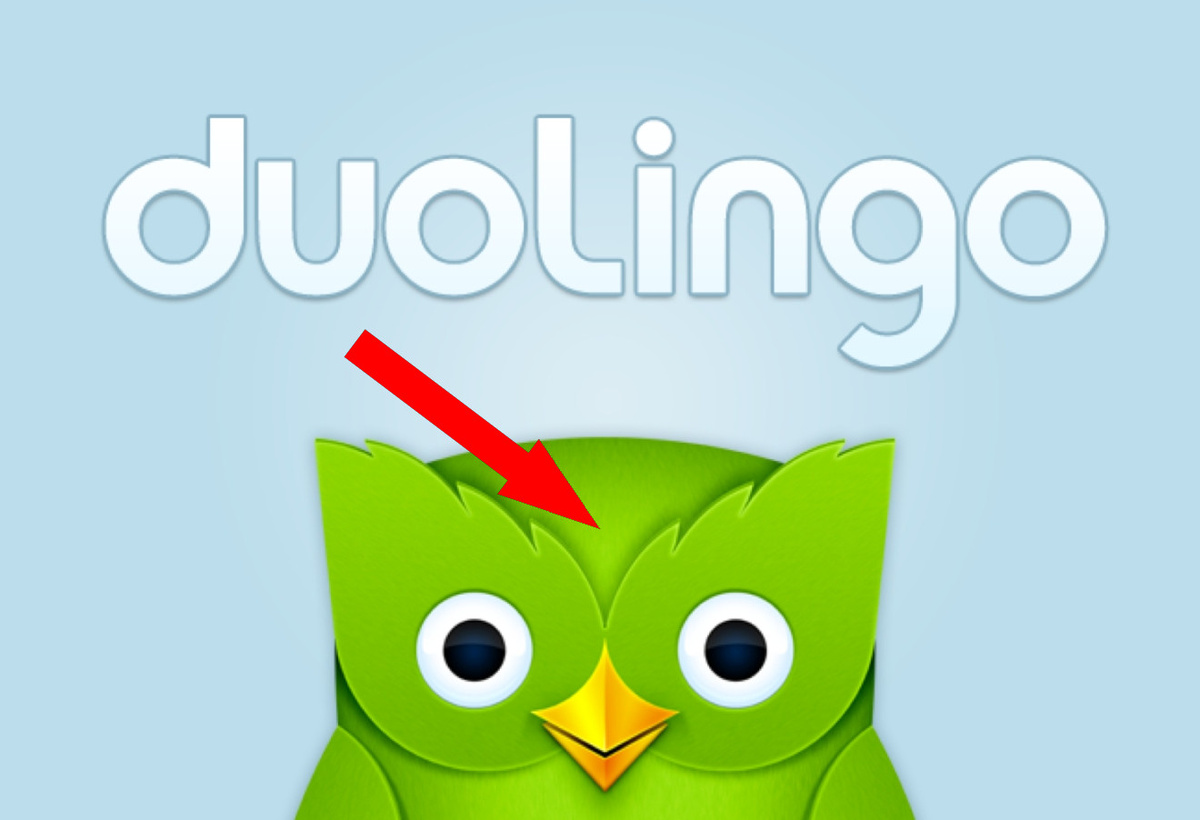    Дуолинго 2024: Как узнать свои языковые достижения этого года
