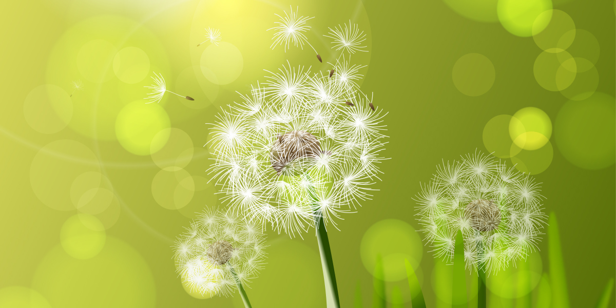 Источник: https://ru.freepik.com/