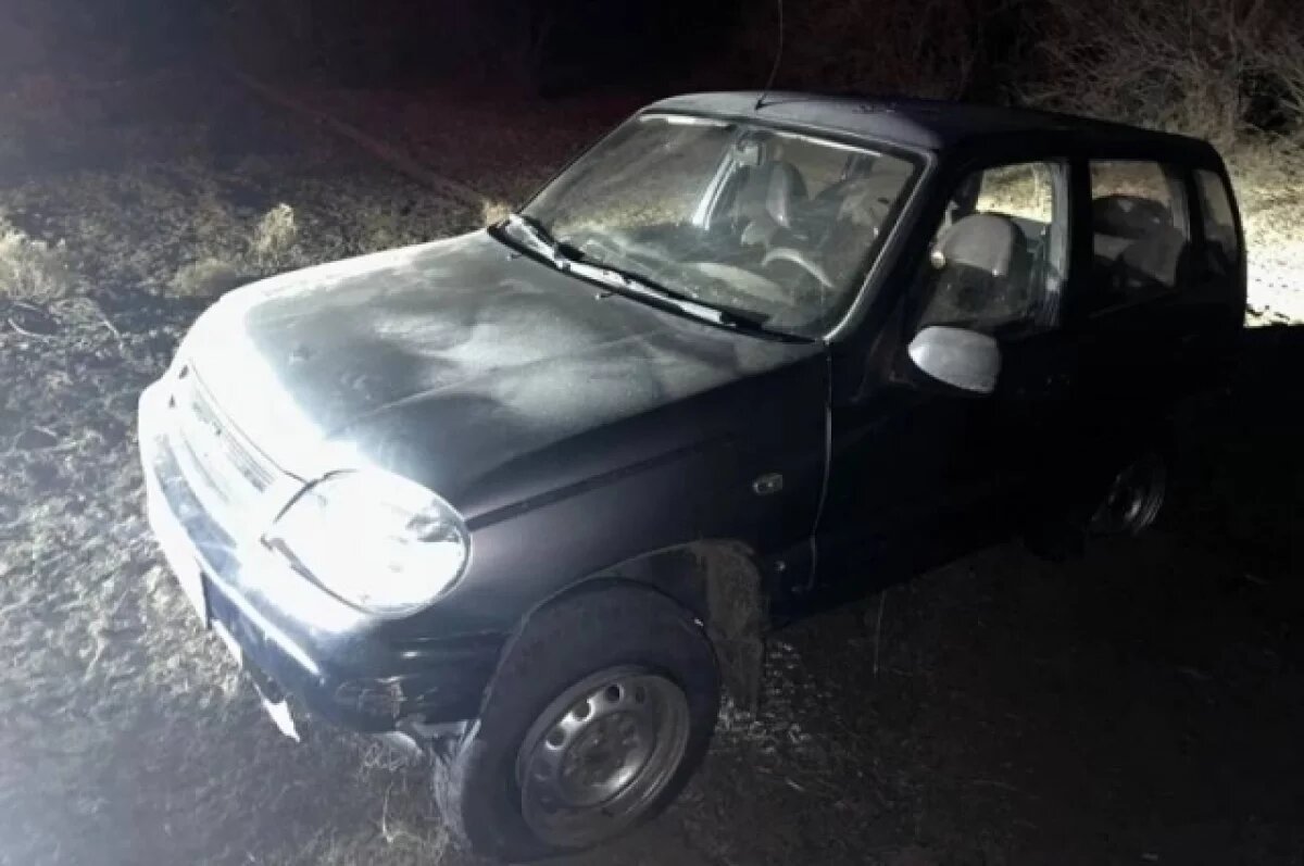    Астраханским полицейским пришлось стрелять, чтобы задержать угонщика