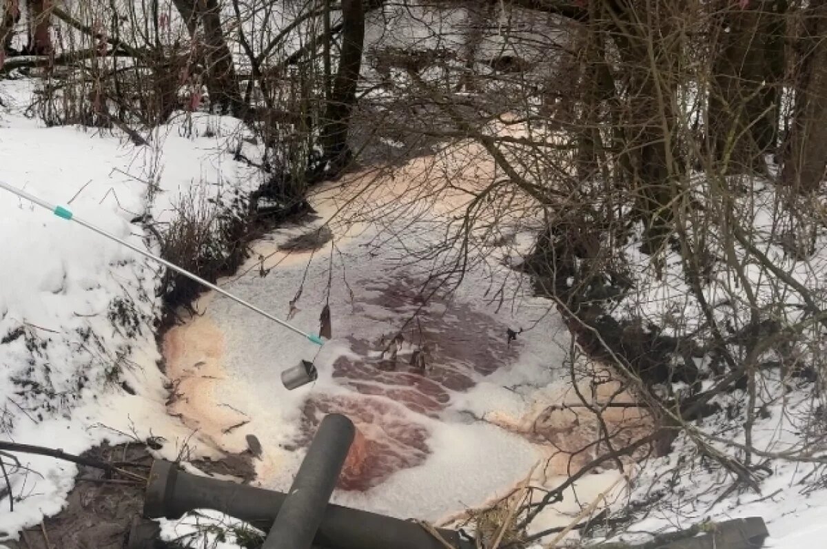    Токсины в реке Нейма Ленобласти превышают норму в 1000 раз