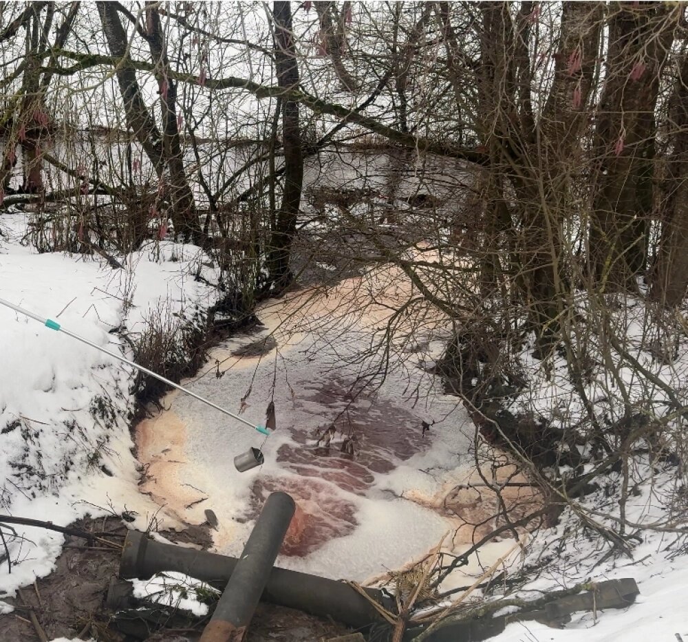    Фото: Пресс-служба Департамента Росприроднадзора по СЗФО