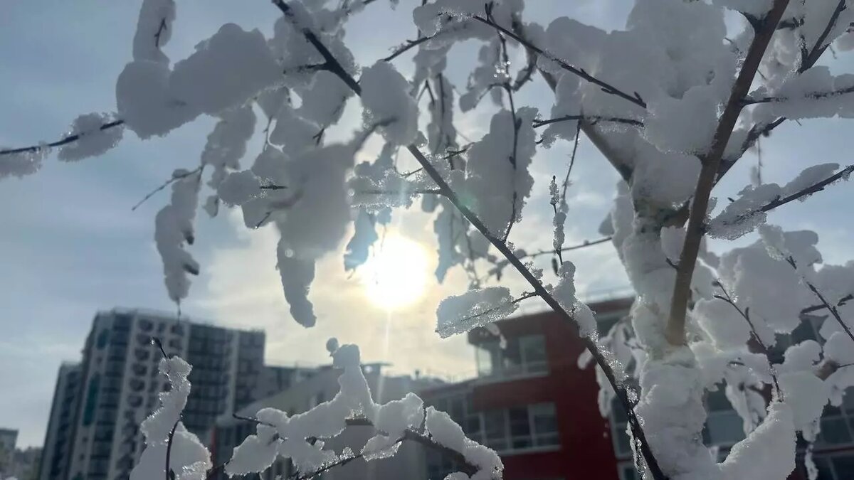     Источник: rostovgazeta.ru