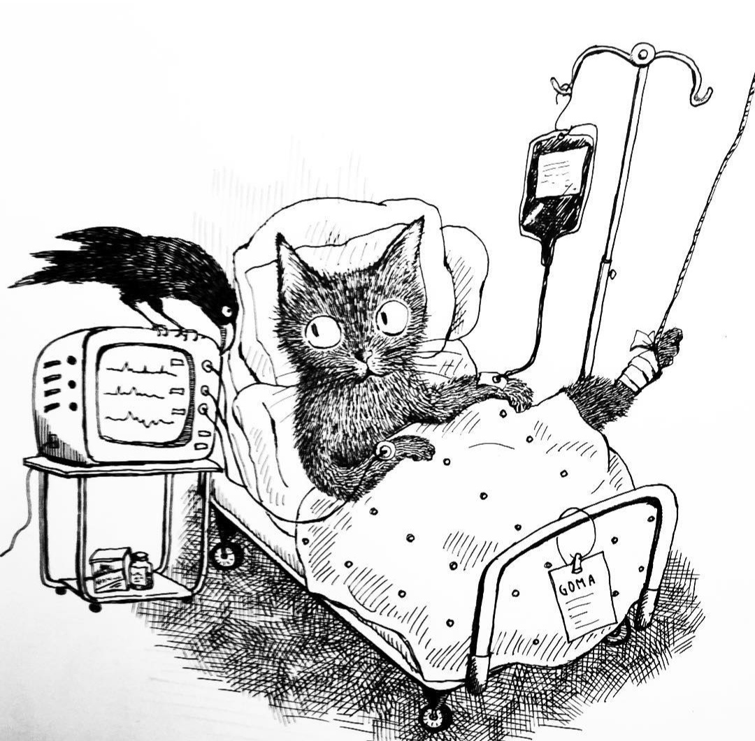 Художник Uikoikeda