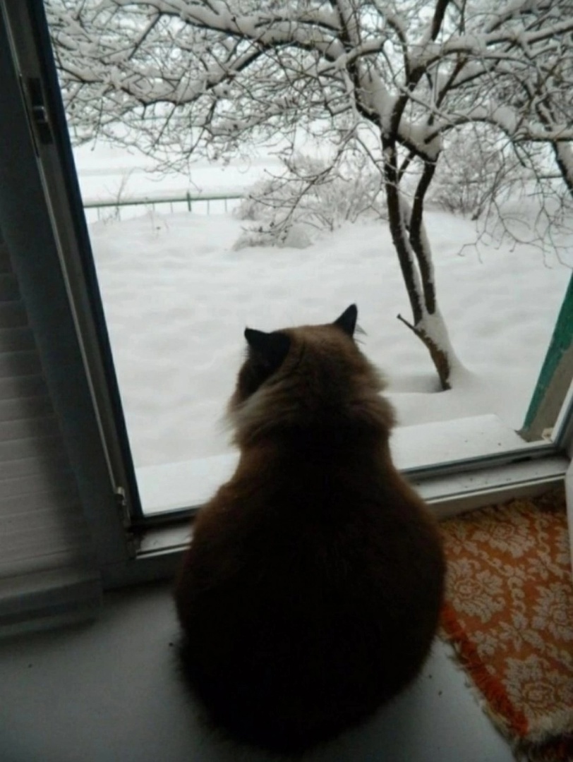 иллюстрация из яндекс картинки.