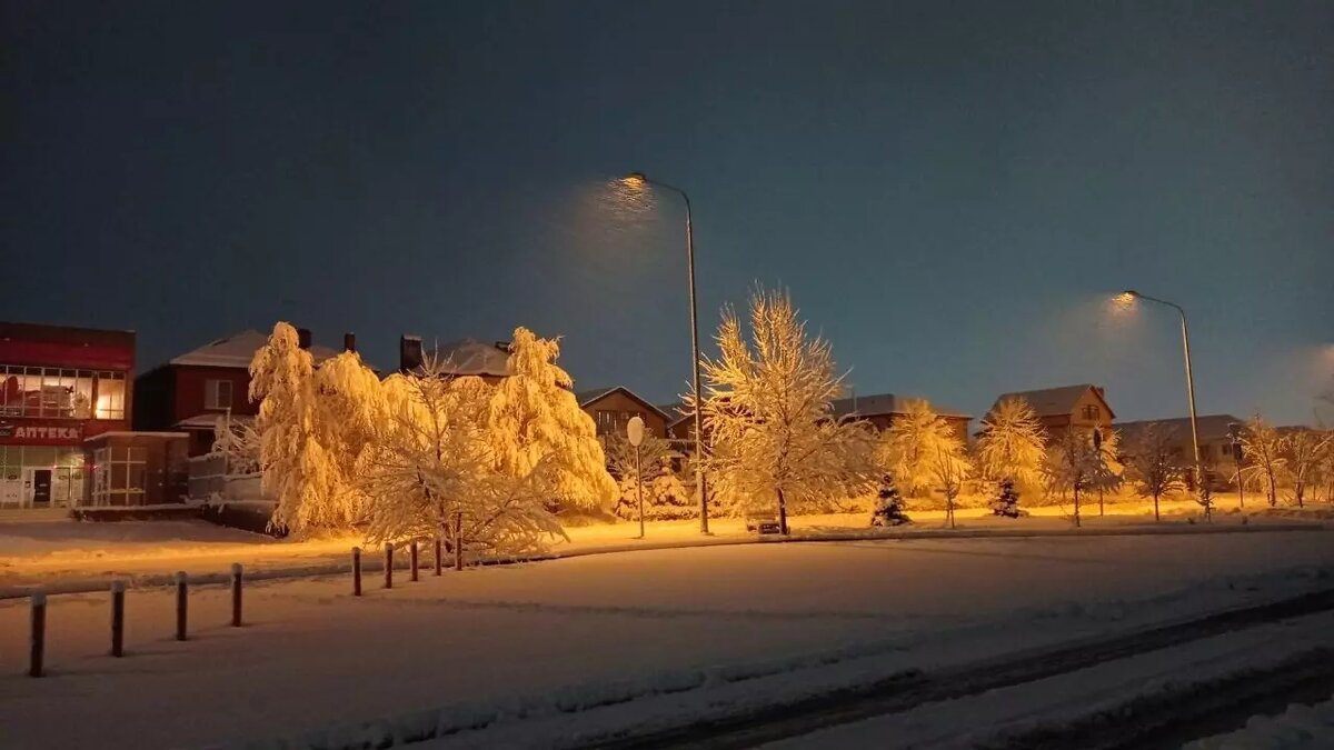     Источник: rostovgazeta.ru