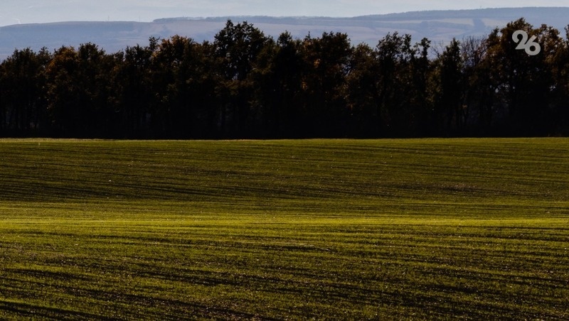      Фото: ИА «Победа26»