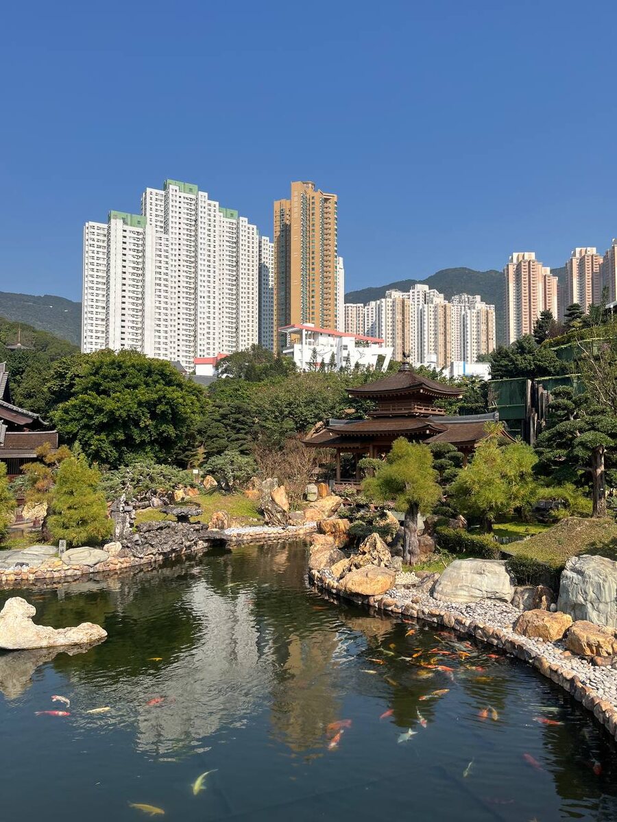 Здесь очень живописно, огромное количнство ярких рыб в пруду