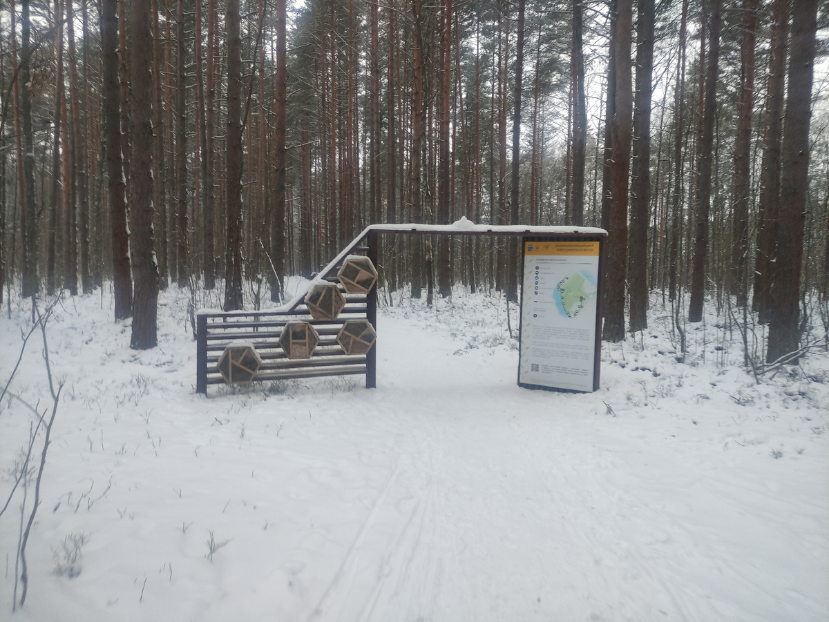 Начало тропы Озеро Шимпалатовское 