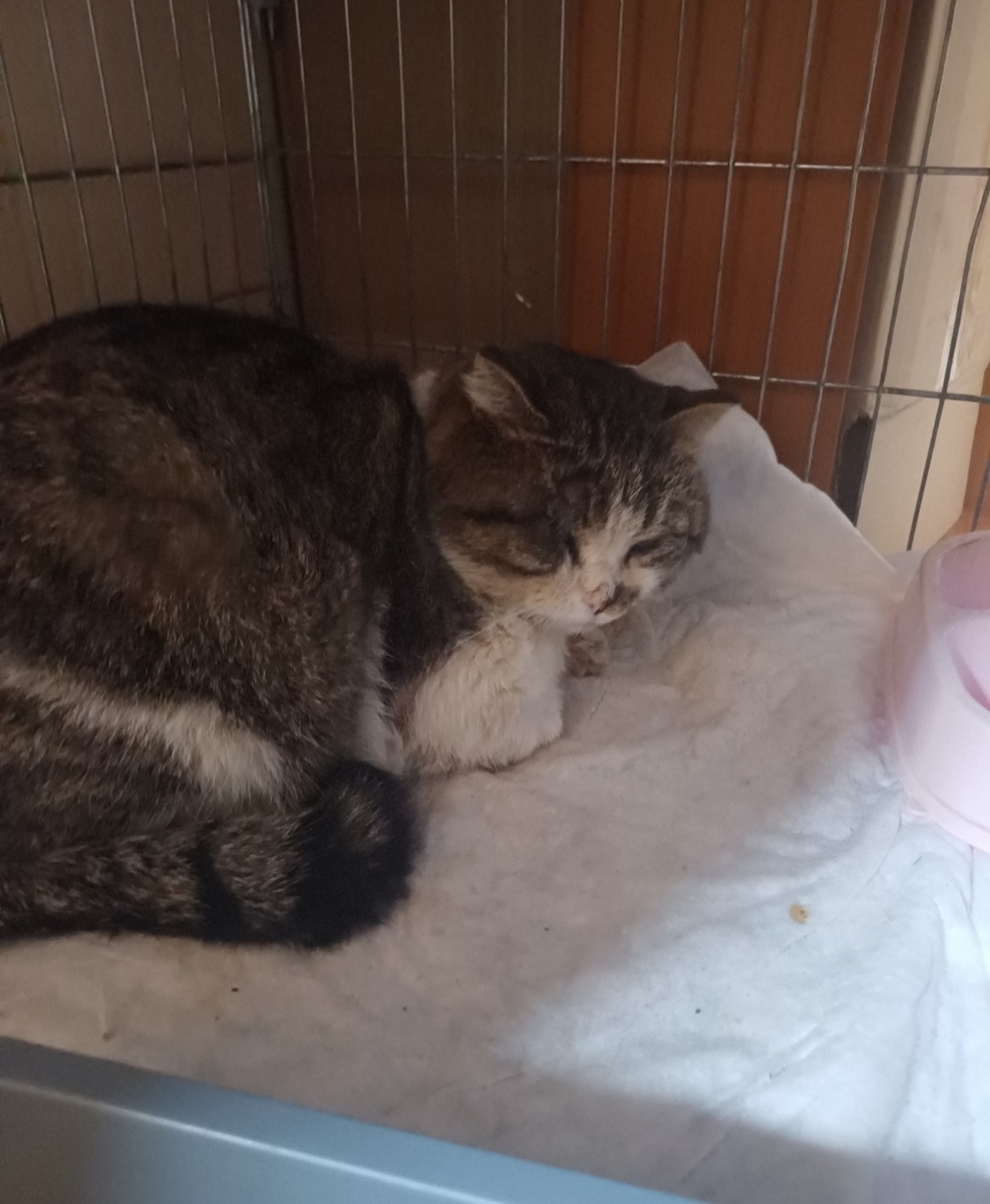 Второй день в клинике