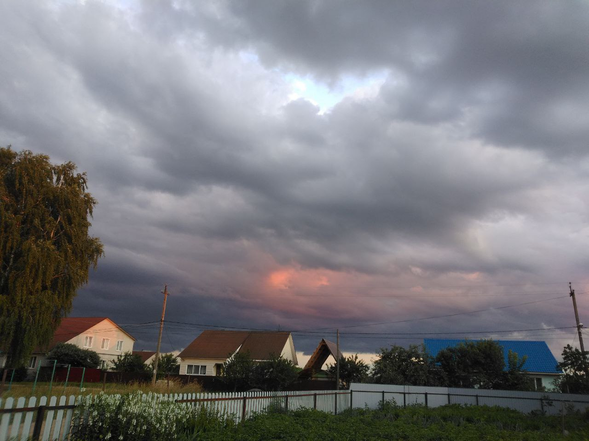 Фото автора. Лето у моего дома.