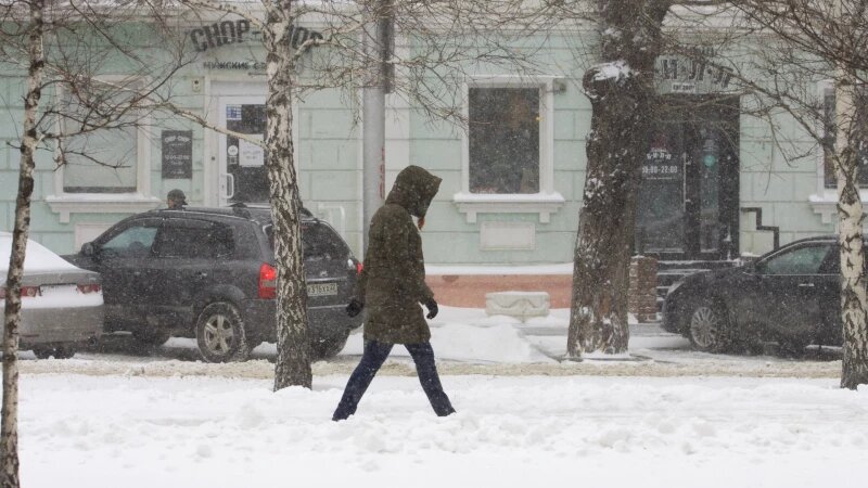     Метель. Зима. Снег. Анна Зайкова
