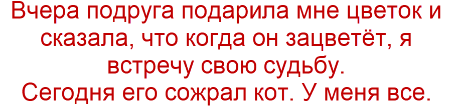 шутку прислала читательница Наташа Весна (коллаж "Позитива красок")