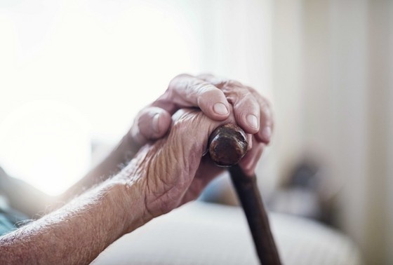    Shutterstock/FOTODOM