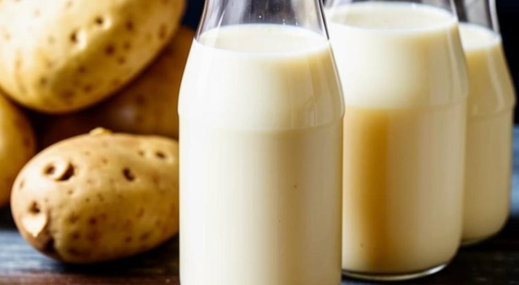    Картофельное молоко приносит популярному овощу добавочную стоимость