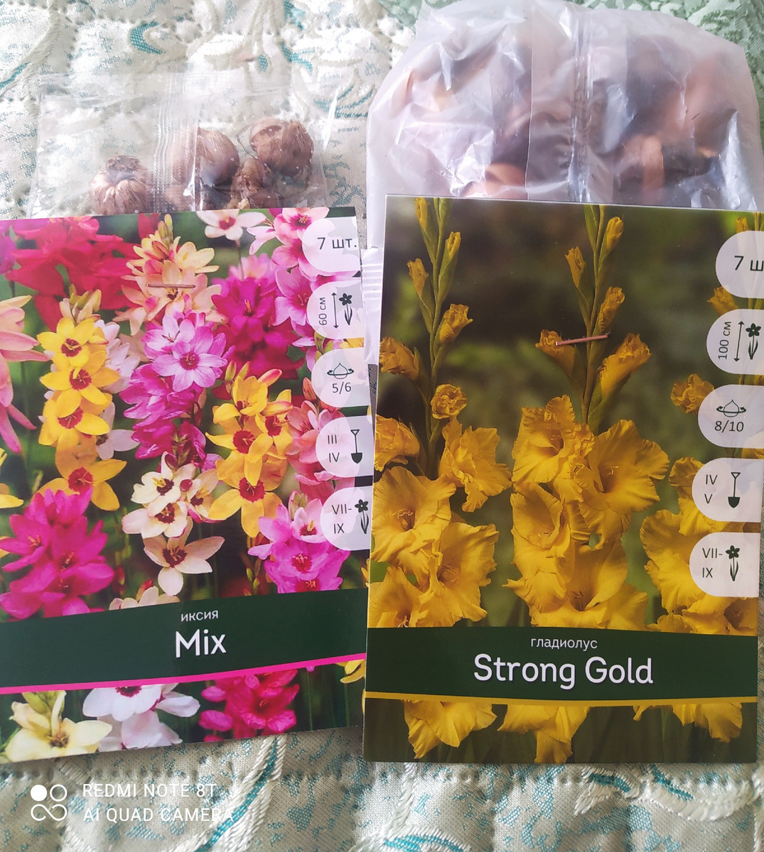 В упаковке по 7 луковиц, цена 109-50