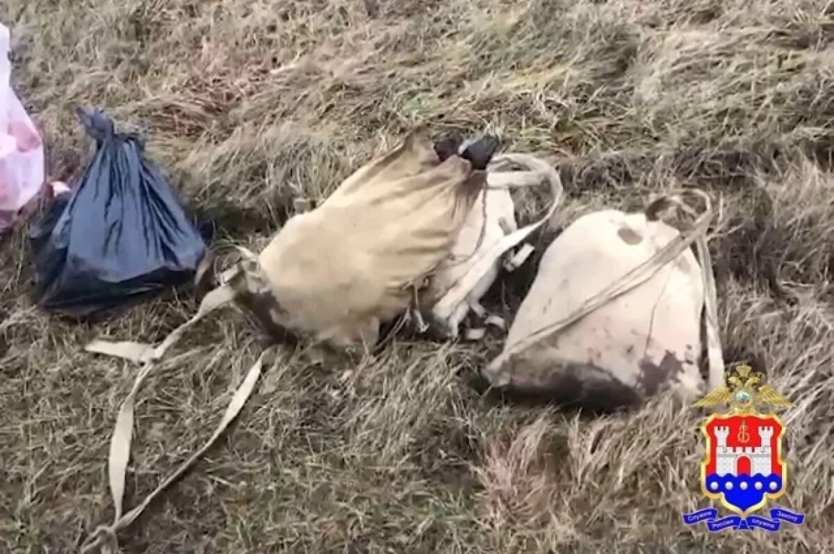    На охотников, подстреливших лосиху и лосенка, завели уголовное дело