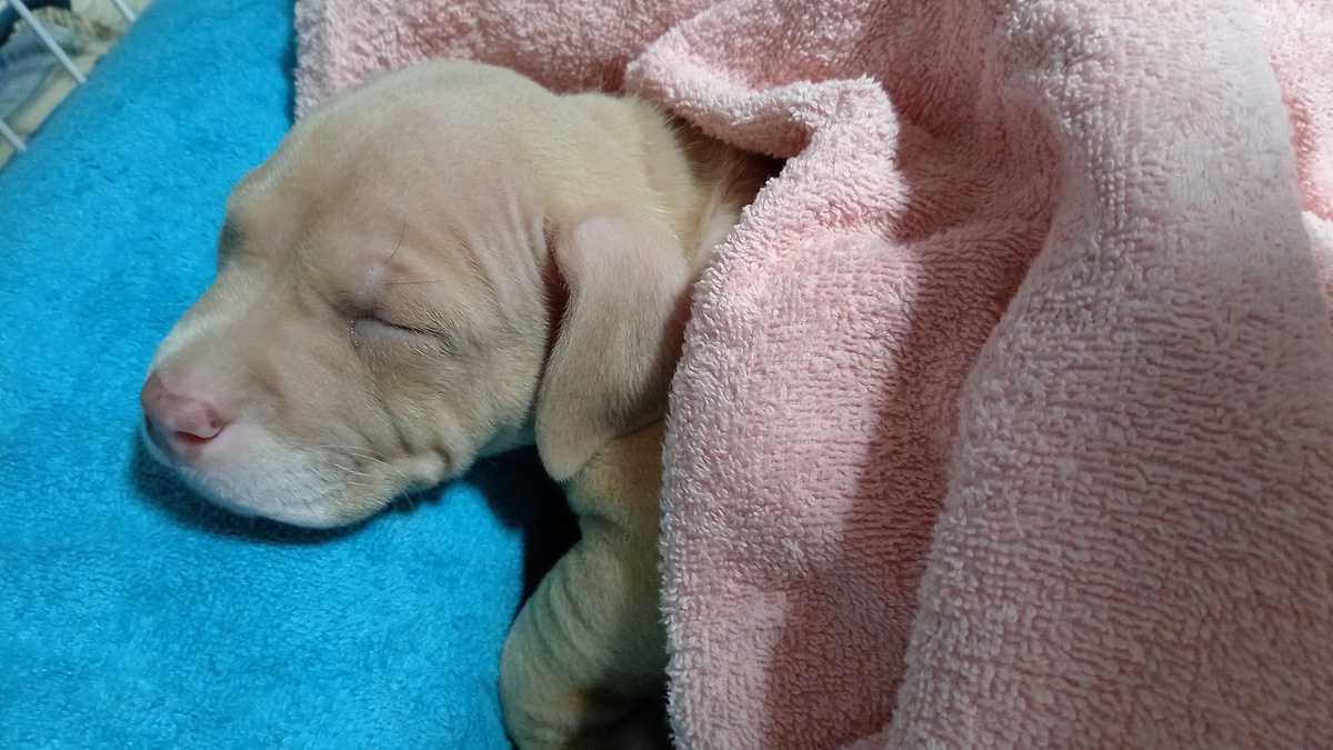 Наша малышка 🥰🥰