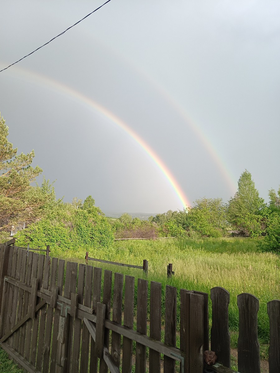 После дождя